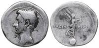 denar 31-30 pne, Rzym, Aw: Głowa w lewo, Rw: Wik