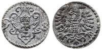 denar 1598, Gdańsk, dość ładny, CNG 145.IX, Kop.