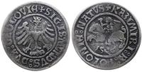 grosz głogowski 1506, Głogów, moneta królewicza 