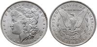 dolar 1885 O, Nowy Orlean, typ Morgan, piękny