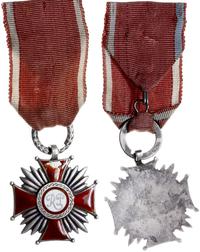 srebrny Krzyż Zasługi z przywieszką, tło ramion 