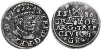 trojak 1586, Ryga, mała głowa króla, patyna, Ige