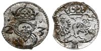 denar 1623, Łobżenica, data skrócona Z - 3, wykr