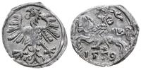 denar 1559 , Wilno, bardzo ładny i dość rzadki, 