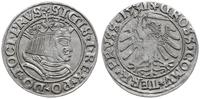 Polska, grosz, 1531