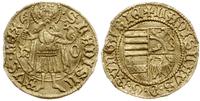 Węgry, goldgulden, bez daty (1457)