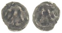 denar XIV w., srebro 0.22 g, Bahr. 666