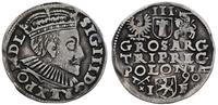 trojak 1590, Poznań, moneta wyczyszczona, ciemna