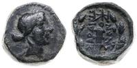 brąz 188-133 pne, Sardeis, Aw: Głowa Apollina w 