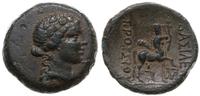 brąz 182-149 pne, Aw: Głowa Dionizosa w prawo; R