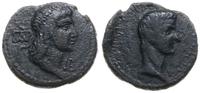 brąz 14-37 ne, Pantikapea, Aw: Głowa króla Aspur