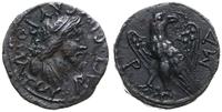 drachma (144 uncje), Aw: Popiersie króla w prawo