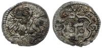 denar 1551, Wschowa, Aw: Orzeł heraldyczny z pie