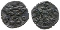 denar 1550, Gdańsk, ładny i bardzo rzadki, CNG 8
