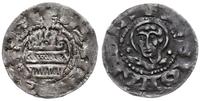 denar z lat 1178-1219, mennica Kołobrzeg, Aw: Bu