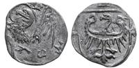 denar ok. 1430-1440, Oleśnica, Aw: Orzeł krocząc