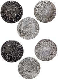 zestaw trzech szóstaków 1662, 1664 i 1666, Lwów 