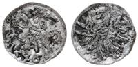 denar 1546, Wilno, ogon Pogoni opuszczony, patyn