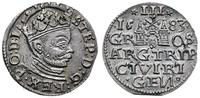 trojak 1583, Ryga, wąskie popiersie króla, bardz