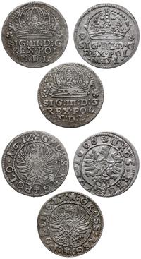 zestaw trzech groszy 1608, 1612, 1613, Kraków, ł