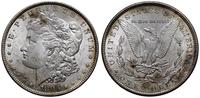 1 dolar 1883, Filadelfia, typ Morgan, piękny