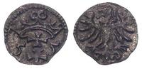 denar 1555, Gdańsk
