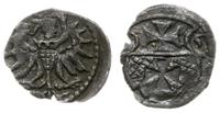 denar 1555, Elbląg, rzadki, Kop. 7099 (R3), Tysz