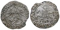 Polska, półgrosz, 1562