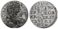 trojak  1590, Ryga, duża głowa króla, rzadka odm