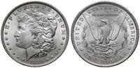 1 dolar  1884 O, Nowy Orlean, pięknie zachowany