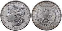 1 dolar 1882 S, San Francisco, typ Morgan, wyśmi