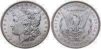 1 dolar 1883, Filadelfia, typ Morgan, wyśmienici