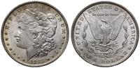 1 dolar 1883 O, Nowy Orlean, typ Morgan, pięknie