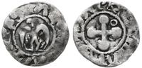 denar XII w., Aw: Orzeł i napis w otoku, Rw: Krz