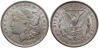1 dolar 1921, Filadelfia, typ Morgan, jasna paty