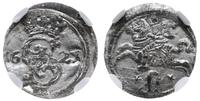 dwudenar 1621, Wilno, moneta w pudełku firmy NGC