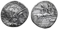 denar 146 pne, Rzym, Aw: Głowa Romy w prawo, za 