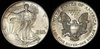 1 dolar 1995, srebro 31.45 g