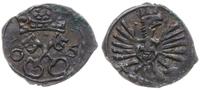 denar 1605, Poznań, Kop. 7956 (R4), Tyszkiewicz 