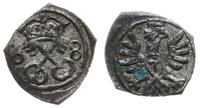 denar 1608, Poznań, Kop. 7959 (R6), Tyszkiewicz 