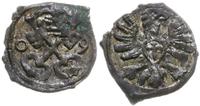 denar 1609, Poznań, Kop. 7960 (R6), Tyszkiewicz 