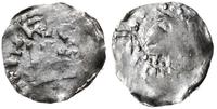 denar 1039-1046, Głowa cesarza w koronie - zwień