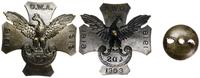 Polska, Odznaka Pamiątkowa 4 Dywizji Strzelców i Oddziału Werbunkowo Agitacyjnego, 1919