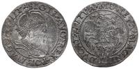 Polska, grosz na stopę litewską, 1559