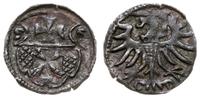 denar 1555, Elbląg, srebro, dość ładne centryczn