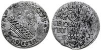 trojak 1632, Elbląg, moneta z portretem Zygmunta