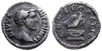 denar pośmiertny po 161, Rzym, Aw: Głowa Antoniu
