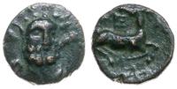 brąz II-I w pne, Aw: Głowa Heraklesa z najeżonym