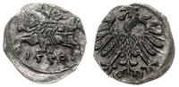 denar 1558, Wilno, ładnie zachowany, Ivanauskas 