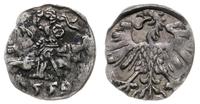 Polska, denar, 1559